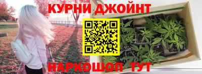apvp Лесосибирск