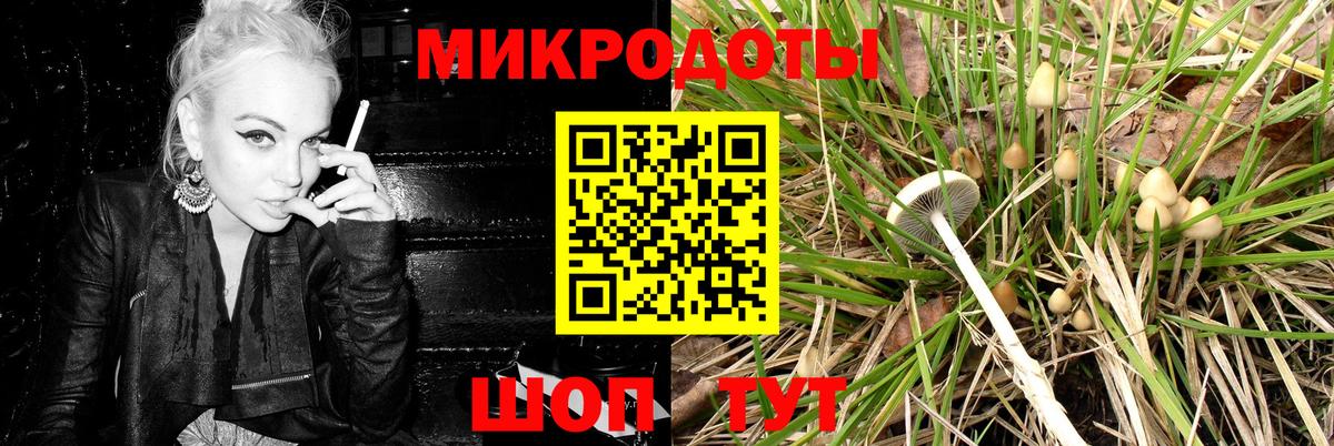 Псилоцибиновые грибы GOLDEN TEACHER  Вход с VPN  Галлюциногенные грибы мухоморы  Ефремов 